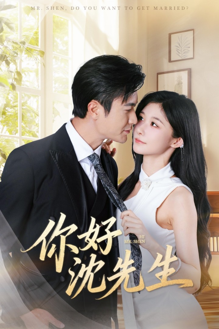 你好沈先生(全集)