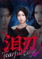 泪刃第27集